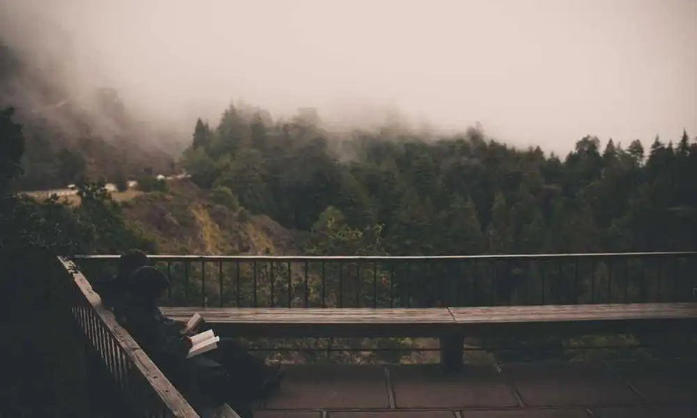 李世民痛别尉迟敬德：60岁名将告老还乡引朝野震动