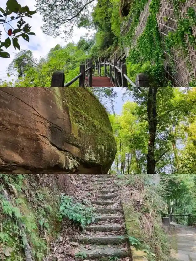 南充秘境曝光!这份攻略带你玩转嘉陵江畔绝美风光