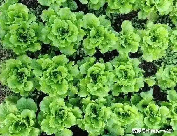 流行于八九十年代的糖果,满满的童年回忆!在当年都是网红零食!