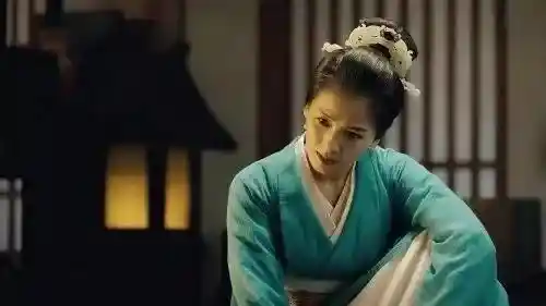 司马昭:权谋与辉煌交织的帝王传奇