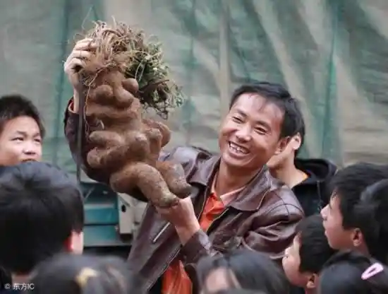 肠道重启术：3招让便秘彻底告别，排便顺畅如初体验