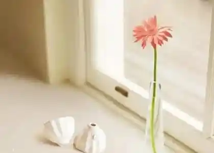 女性身材数据新解：身高体重腰围黄金比例全解析