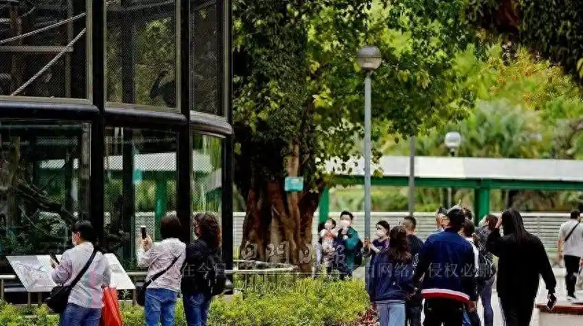 2022身份证全面升级！全新防伪黑科技+智能芯片，首批市民已领到未来身份卡