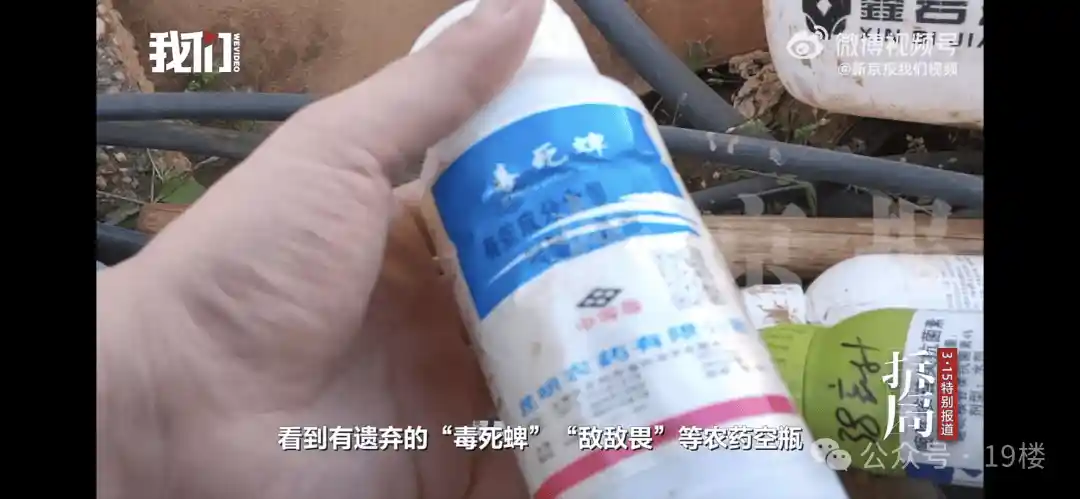 网红草莓惊现20种农药！重金属超标引热议，官方紧急回应