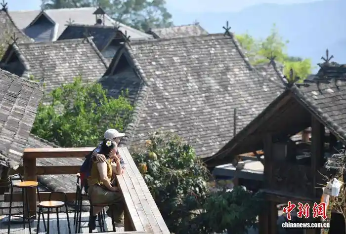 千年古茶林苏醒!景迈山万亩春茶开摘,游客抢鲜采、打卡、认购会呼吸的普洱