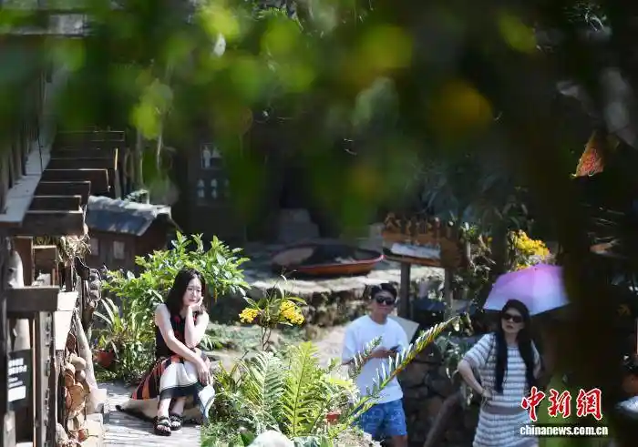 千年古茶林苏醒!景迈山万亩春茶开摘,游客抢鲜采、打卡、认购会呼吸的普洱