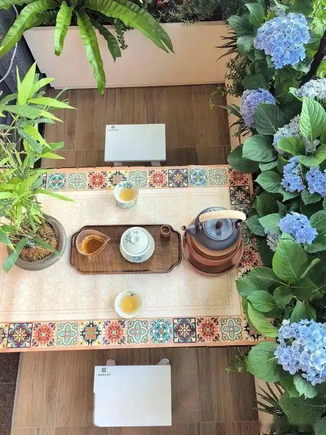 阳台封还是不封?我赌赢了全家,如今客厅秒变云端森林!