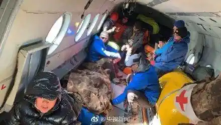 新疆雪崩10人奇迹生还！救援奇迹震撼全网