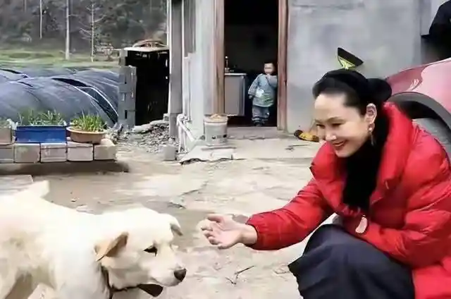 于文华隐居唐山农村:十几年前就规划的田园生活真相